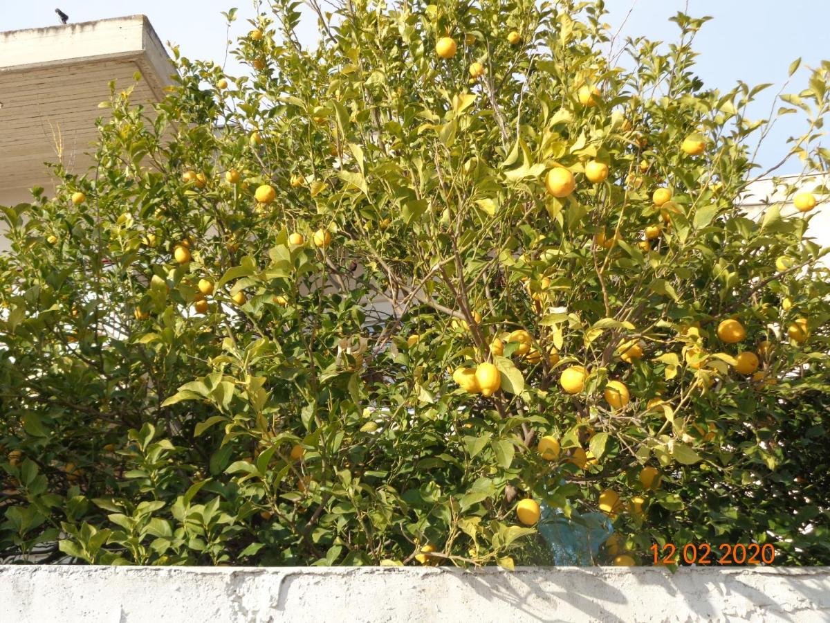 Traditional Guesthouse Asimakis Anifion Exterior photo